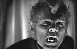 Werewolf old movie actor in black and white photo