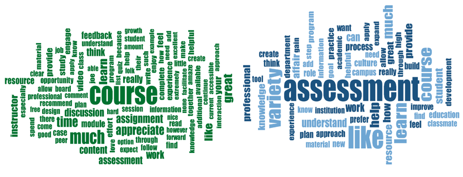 Green and blue word clouds of feedback about the course
